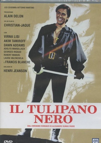 Tulipano nero con - il,